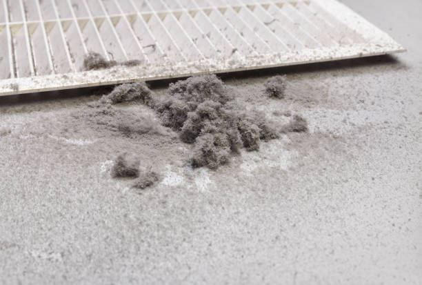 Best HVAC Air Duct Cleaning  in Durand, IL